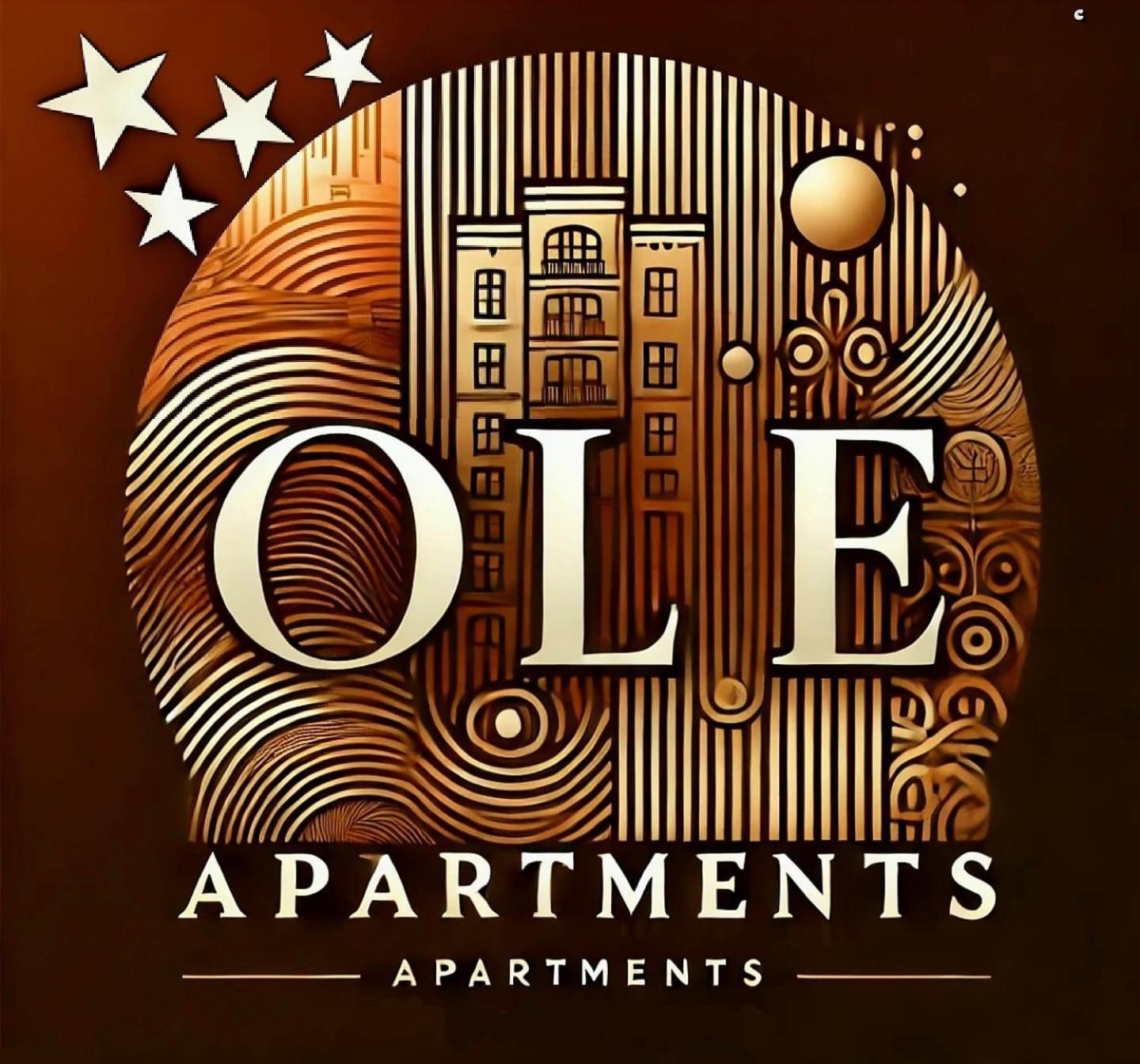 Ole Apartment - Get Your Energy For Free! Coffee And Tea On The House Тимишоара Экстерьер фото